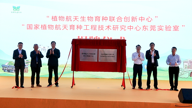 微信截图_20240318172754 拷贝.jpg