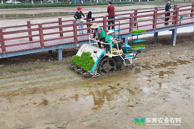 微信截图_20240318183711 拷贝.jpg