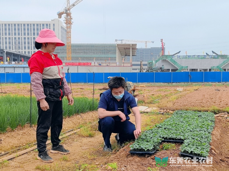 已编辑图片