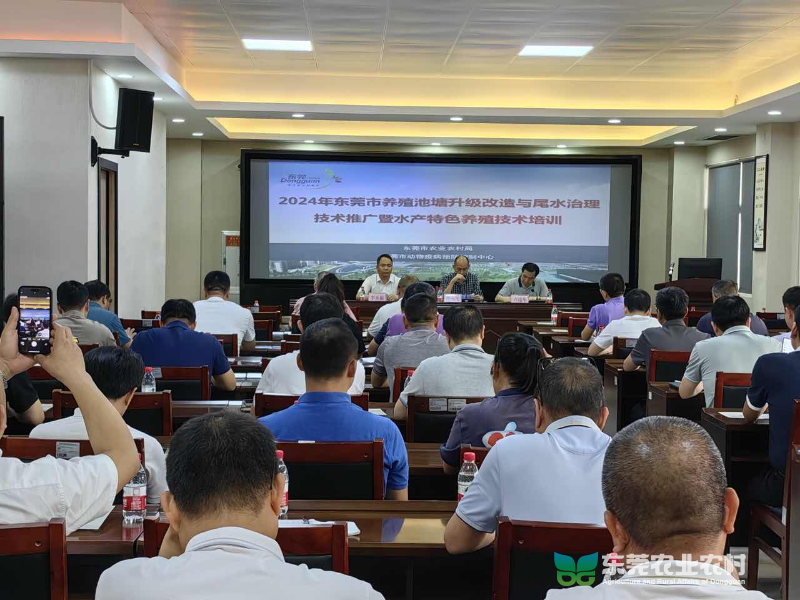 东莞市举办养殖池塘尾水治理技术推广24-3-29.png