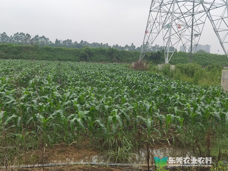 e4616708d2af30961bda1af844b138d_副本.jpg