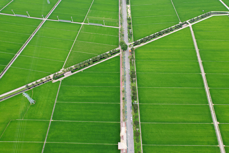 DJI_0934.JPG