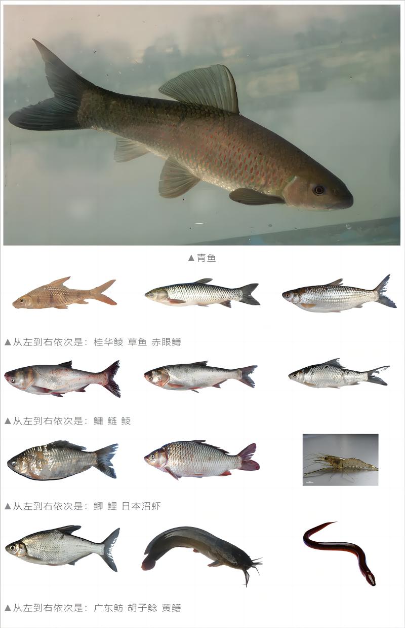 火狐截图_2024-05-23T08-23-41.040Z(1).jpg