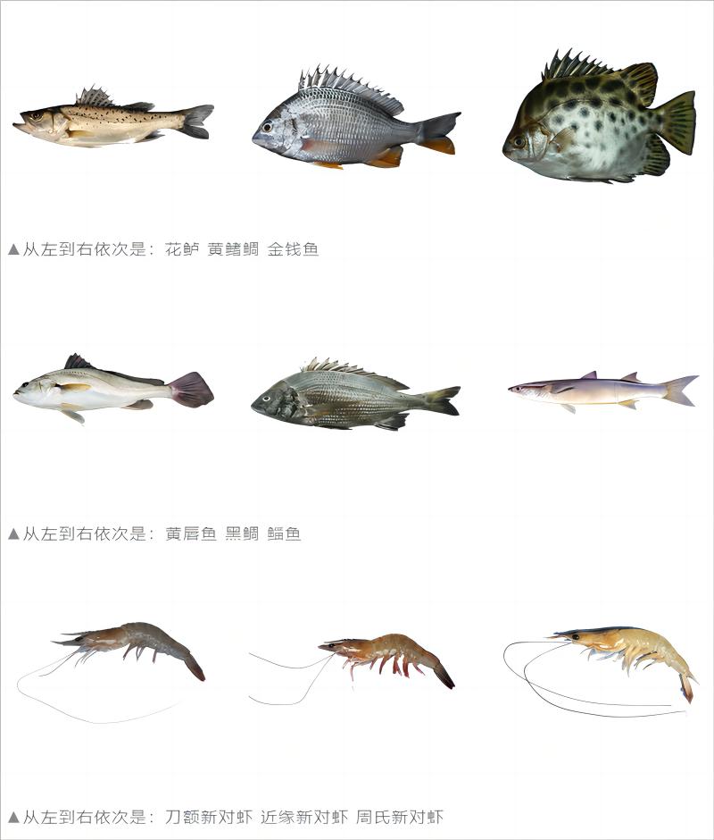 火狐截图_2024-05-23T08-23-41.040Z(2).jpg