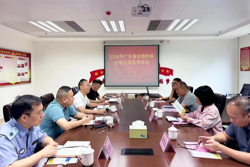已编辑图片