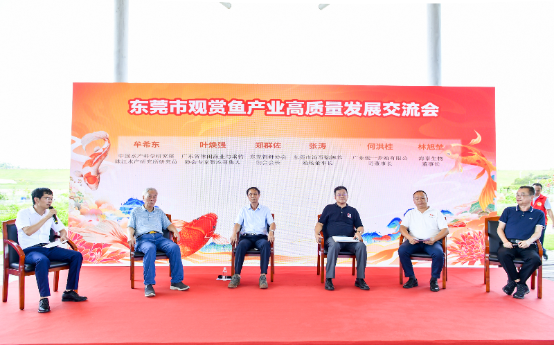 已编辑图片