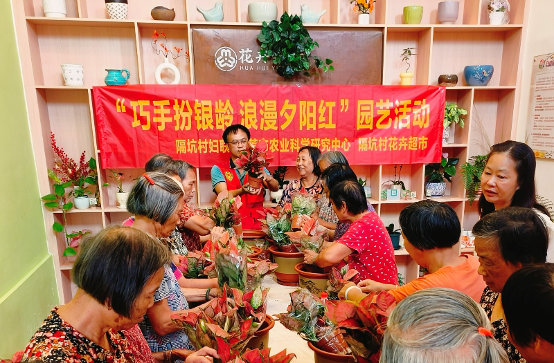 发1.jpg