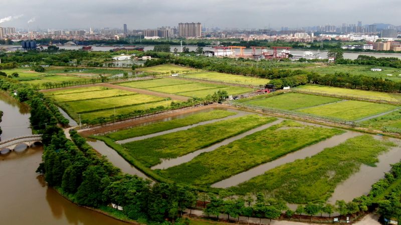 微信截图_20240807143116.jpg