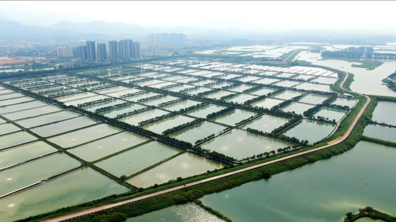 微信截图_20240807144758.jpg
