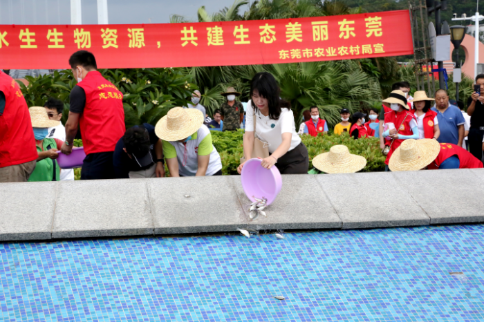 微信图片_20200605142201.jpg