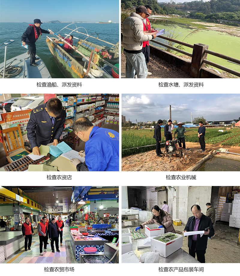 信息拼图250208.jpg