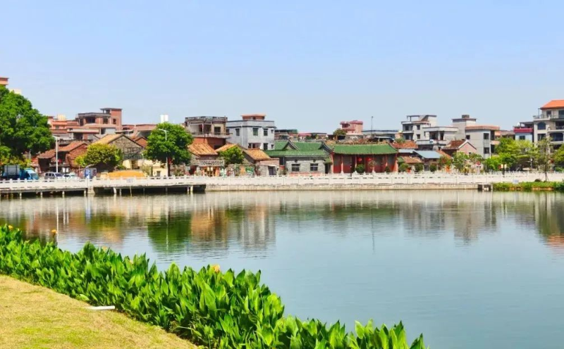 “百千万工程”三年初见成效｜石碣水南村：慢时光与烟火气，藏在水乡里的诗意栖居地