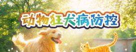 动物狂犬病防控