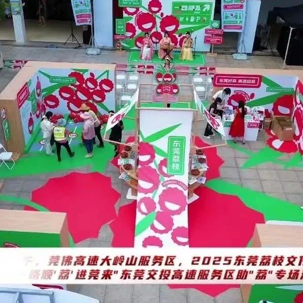 今日启动！尝鲜果、拍美照、淘文创……东莞三大服务区邀你“荔”刻停靠！