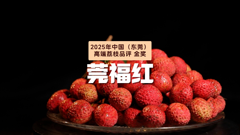 东莞金奖荔枝新品种“莞福红”惊艳登场