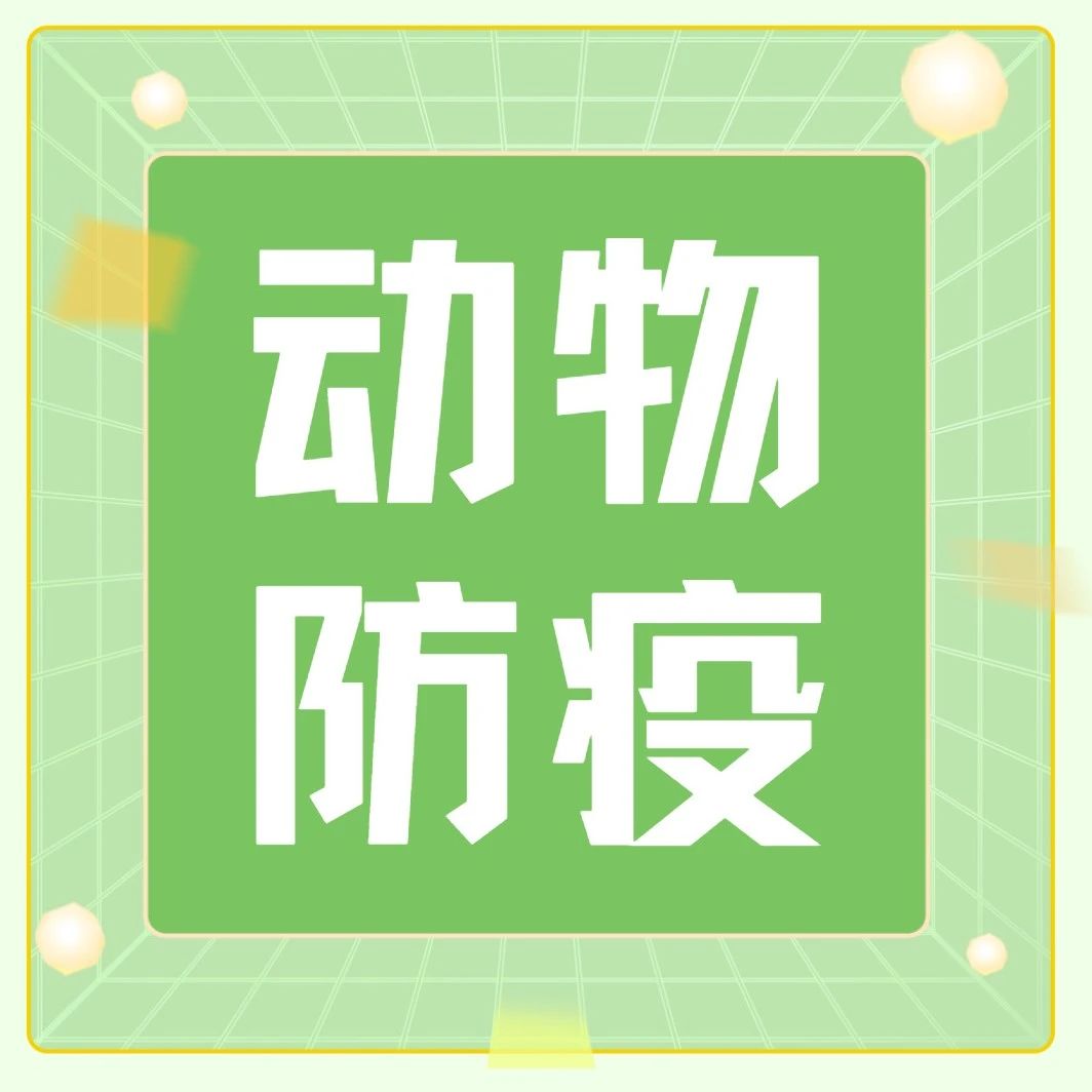 汛期来袭！动物疫病防控怎么做？