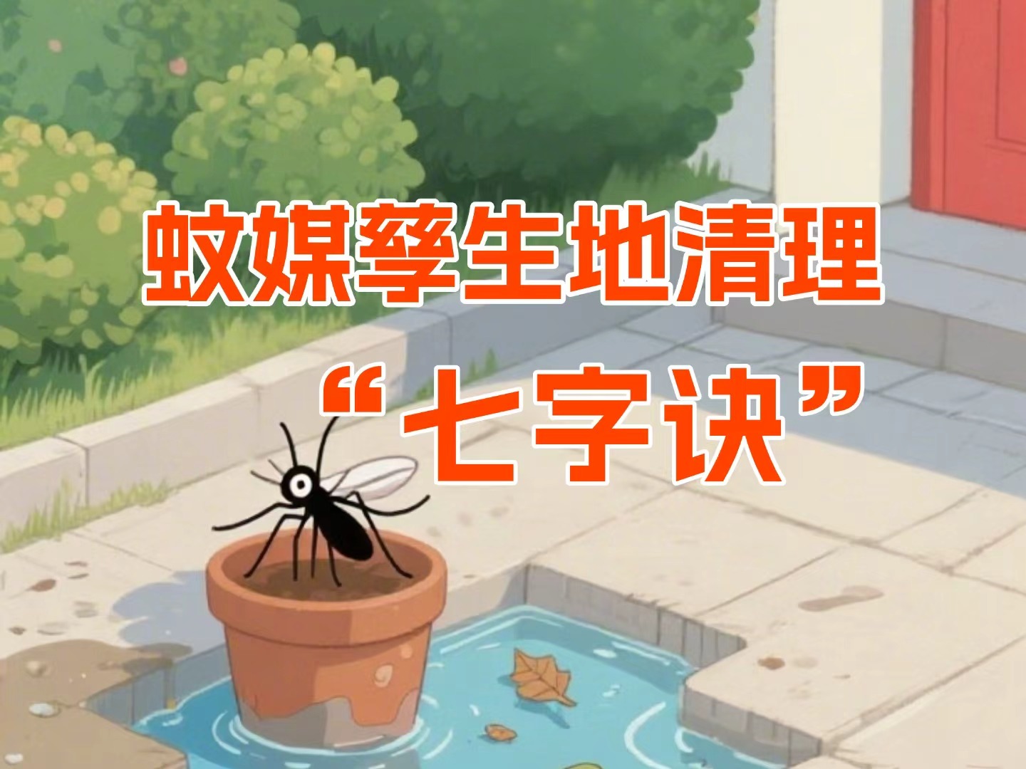 蚊媒孳生地清理“七字诀”
