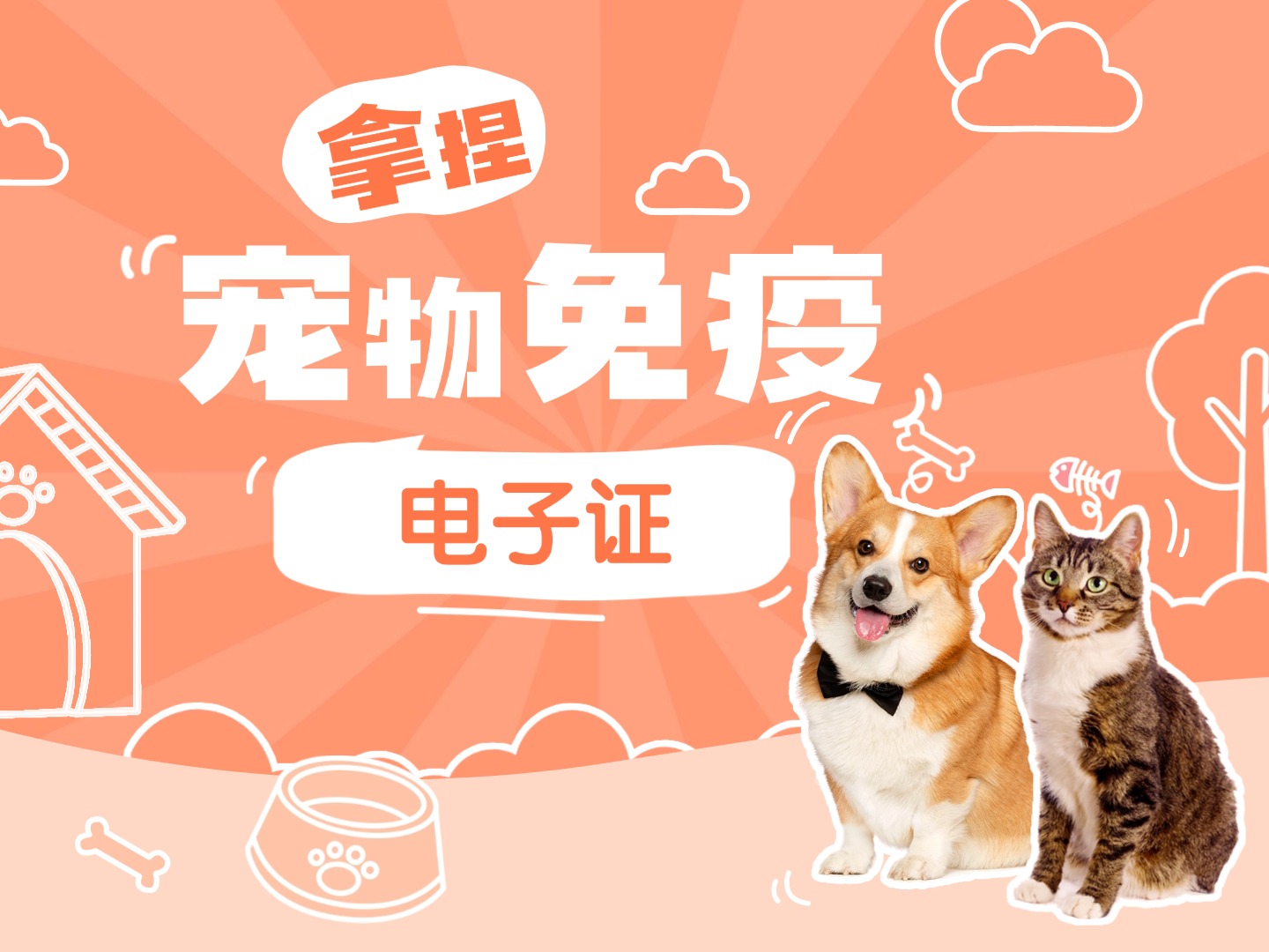 “毛孩子”家长必看！东莞宠物电子免疫证申请使用指南来了→