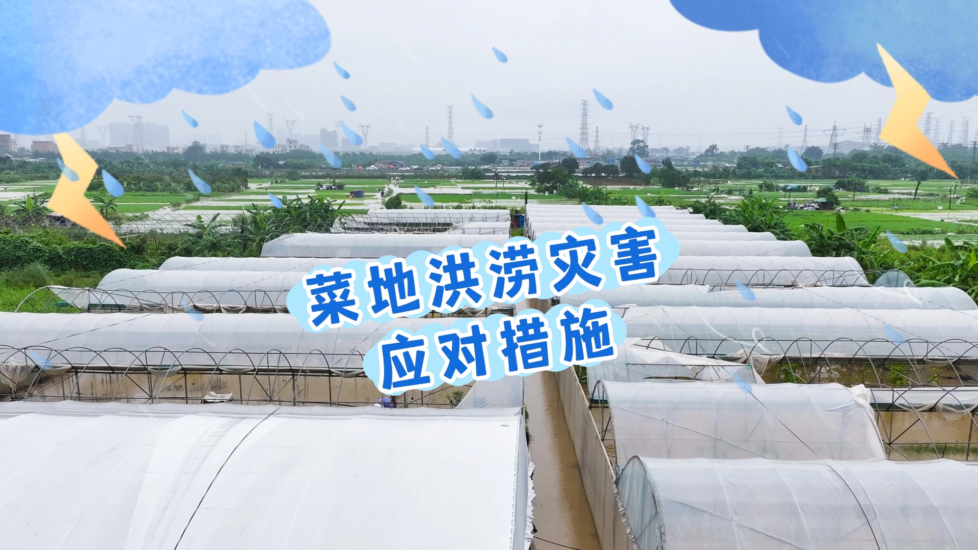 蔬菜种植遇暴雨？这些防洪涝灾害措施请收好