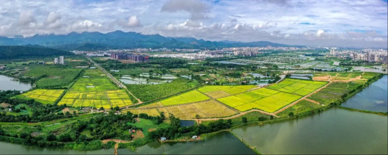 wechat_2025-09-01_094842_008.png