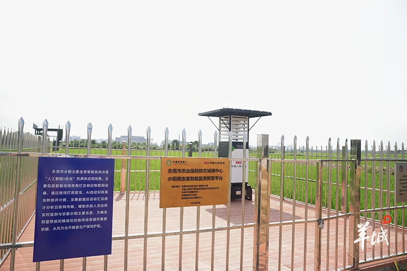 智慧“哨兵”守田间 虫情监测智能化