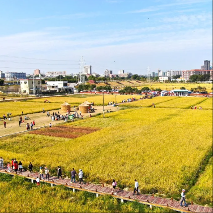 跟着稻田去旅行④｜茶山镇稻田休闲农业和乡村旅游线路
