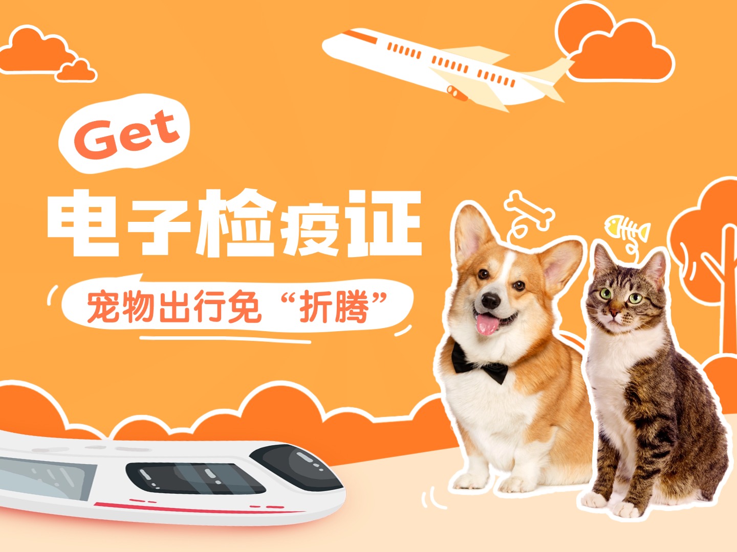 电子检疫证get！宠物出行免“折腾”