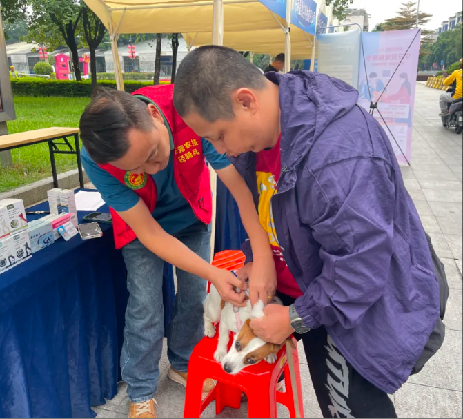 全域文明 | 东莞启动第 16 个 “中国兽医日” 宣传月活动
