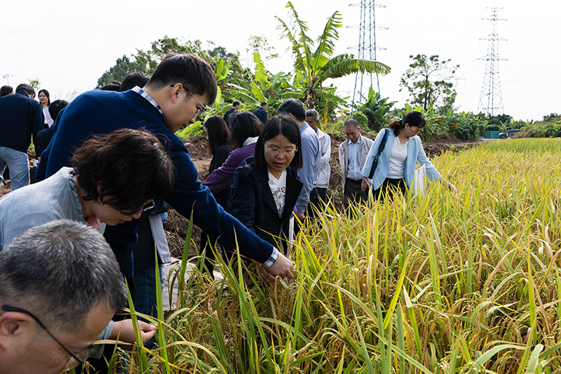 P1055590 拷贝1.jpg