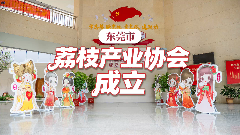 东莞市荔枝产业协会成立，全链赋能打造高端荔枝名片