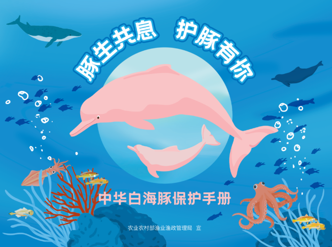 守护中华白海豚，这份保护手册请查收！