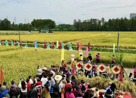 礼赞东莞百千万，全域文明庆丰收