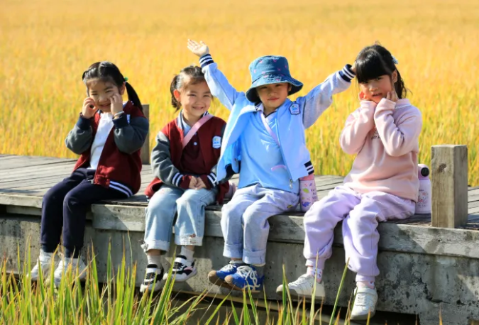 全域文明庆丰收 | 东莞丰收图景③