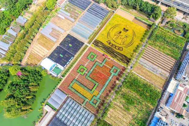 我市举办2025年东莞市航天良种展示会暨“听党话、感党恩、跟党走”宣传教育活动