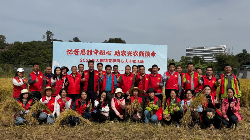 大朗：助农兴农  共庆水稻丰收