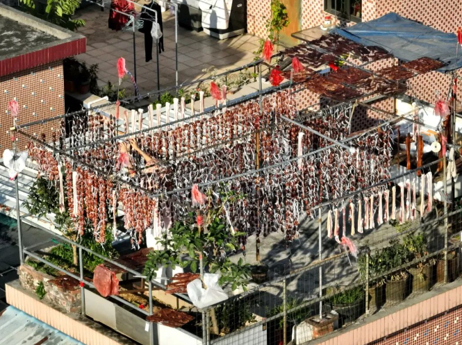 全域文明庆丰收 | 东莞丰收图景⑤