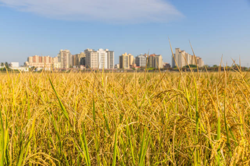 南方+ 郭文君 拍摄