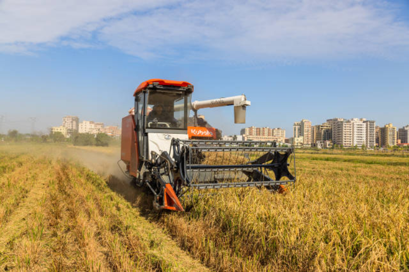 南方+ 郭文君 拍摄