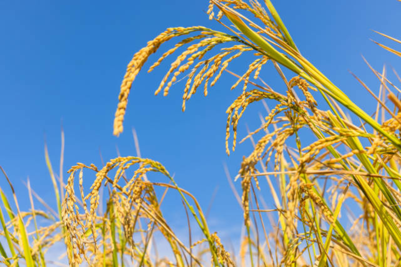 南方+ 郭文君 拍摄