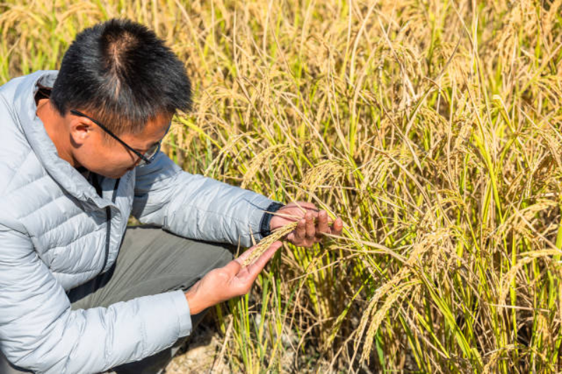 南方+ 郭文君 拍摄