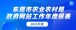 政府网站工作年度报表（2025年度）