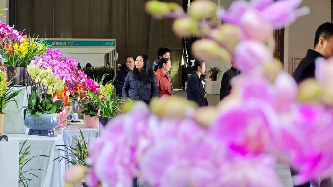 产销对接结硕果，翁源兰花香飘东莞