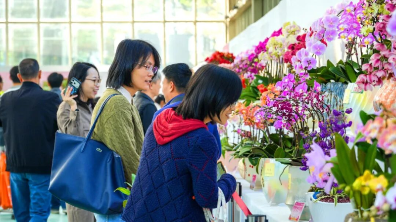 聚力壮大“花样”经济，2026年花开东莞（朱顶红•兰花）主题推广活动精彩绽放