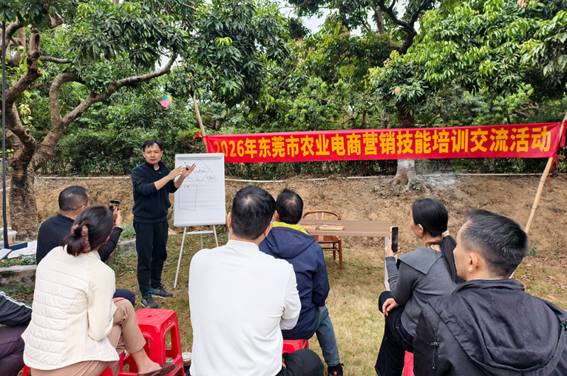 数字赋能助农增收 东莞举办农业电商营销经验交流会