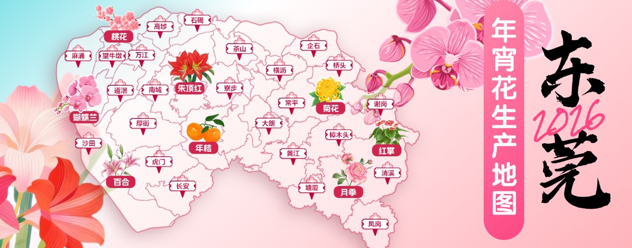 年宵花生产地图