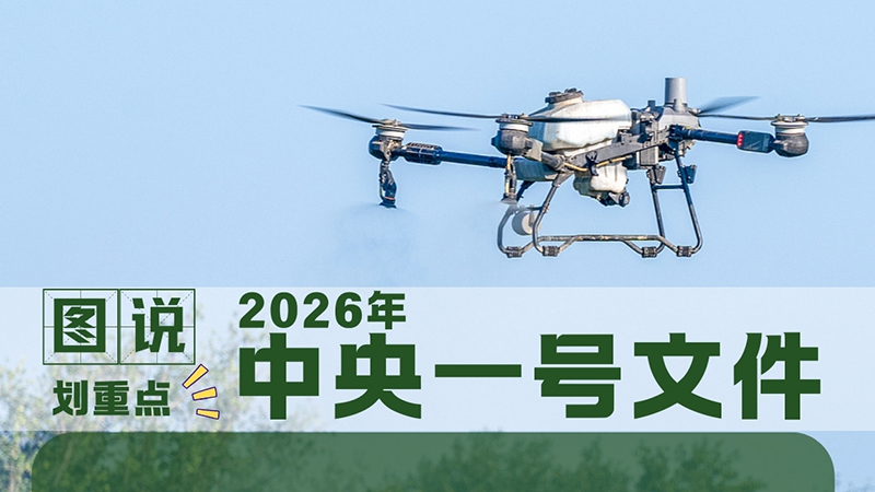 划重点！6图速览2026年中央一号文件
