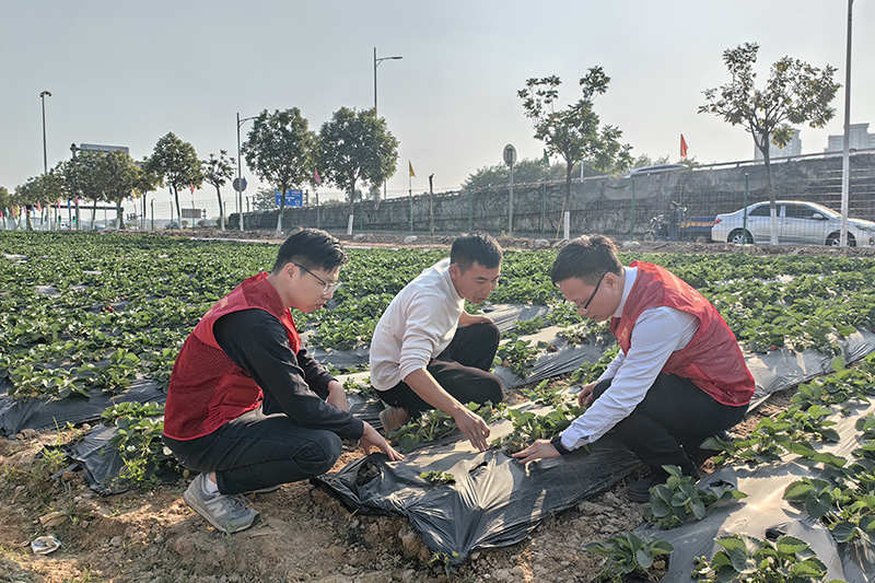 企石：强化源头把控 保障农产品质量安全