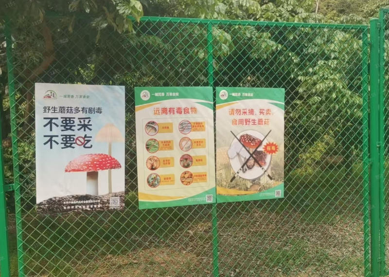 1775026025033015918.png