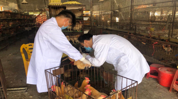 已编辑图片