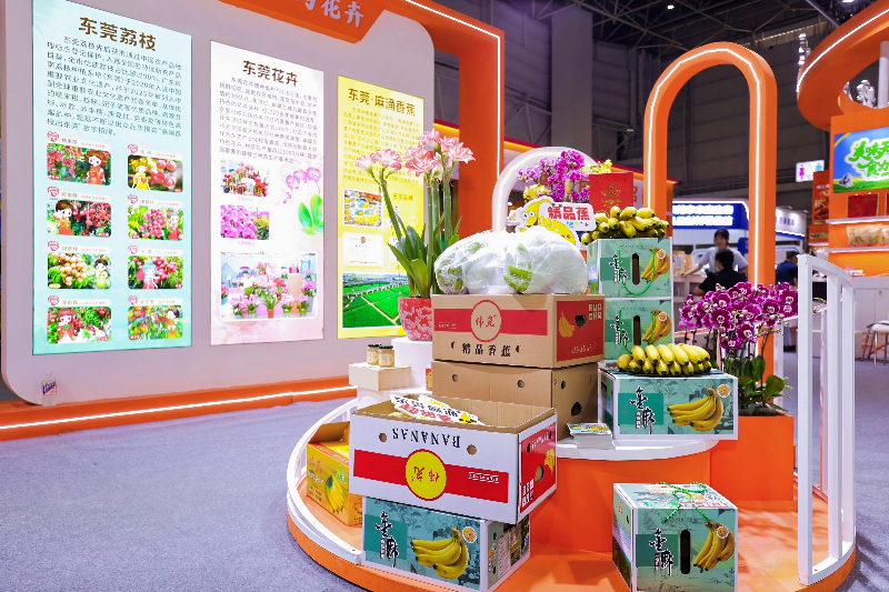 东莞·麻涌香蕉闪耀2026年“三博会” 全产业链发展再提速